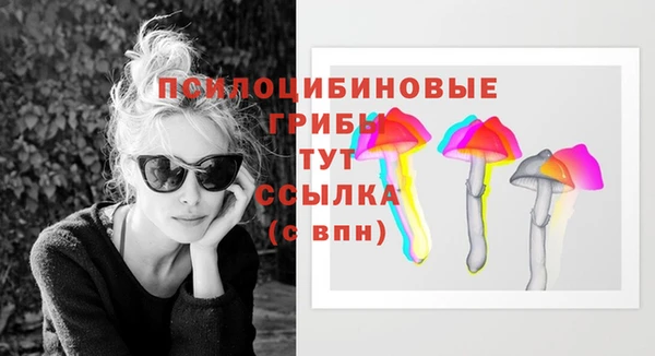 прущий лед Магас