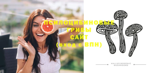 молекула духа Майский