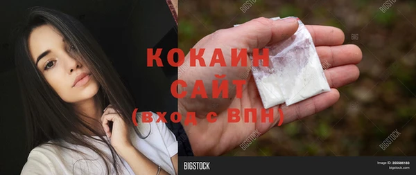 индика Алагир