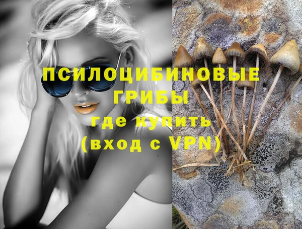 молекула духа Майский