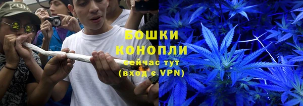 молекула духа Майский