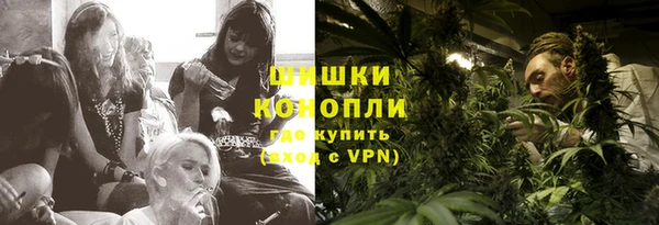молекула духа Майский