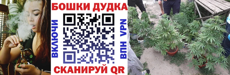 Шишки марихуана конопля Черепаново
